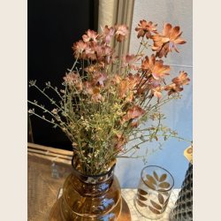 Evighedsblomst stilk, rosa/grn