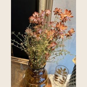 Evighedsblomst stilk, rosa/grn