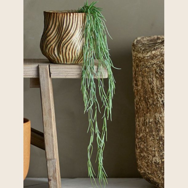 Tillandsia mos plante, kunstig