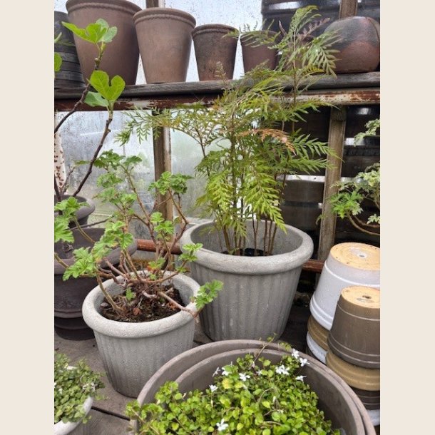 Ulrike krukker, cement