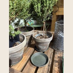 Underfad i metal, mosgrn