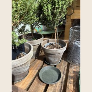 Underfad i metal, mosgrn