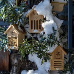 Insekthotel til bier