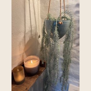 Willow stilk