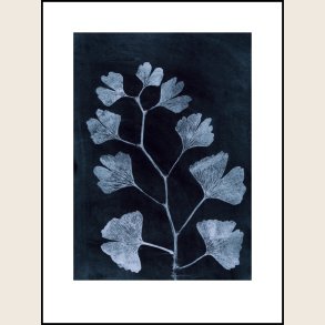 Gingko dark ink 30x40 cm