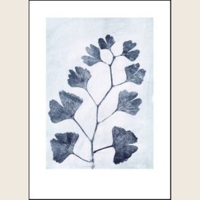 Gingko ink 50x70 cm