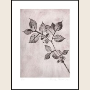 Elm dusty brown 50x70 cm