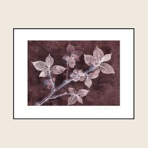 Elm 2 dark plum 30x40 cm