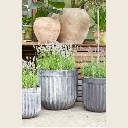 Elisa krukkest i choko patina