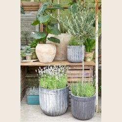 Elisa krukkest i choko patina