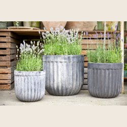 Elisa krukkest i choko patina