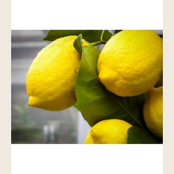 Lemon curd fra Beirabaga