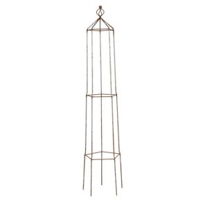 Pentagon plantestativ i rust