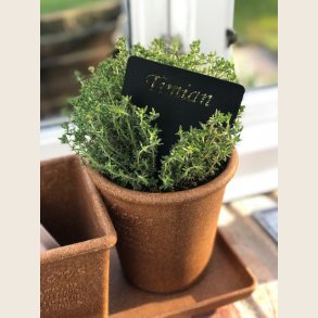 Planteskilte i sort metal